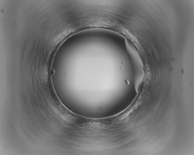 X0000088880298200706081248