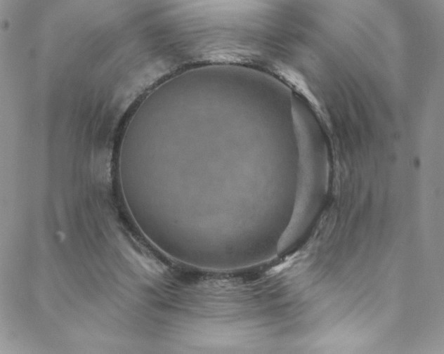 X0000088880299200706081248