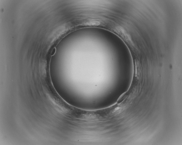 X0000088880300200706081248