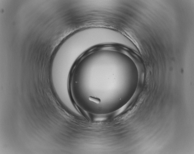 X0000088880301200706081248