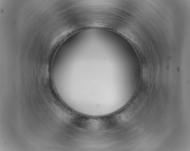 X0000088880302200706081248