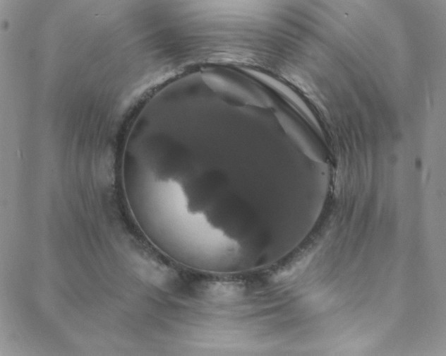 X0000088880303200706081248