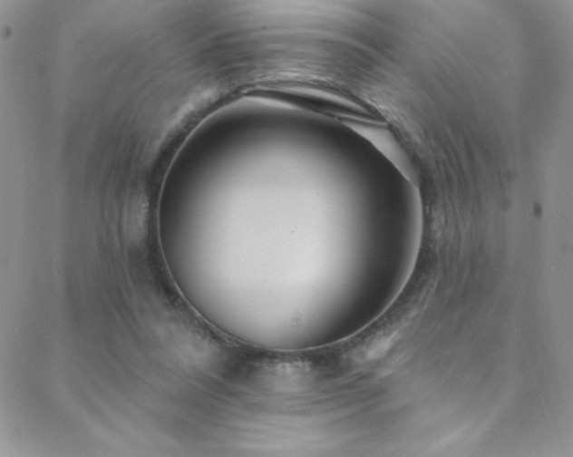 X0000088880304200706081248