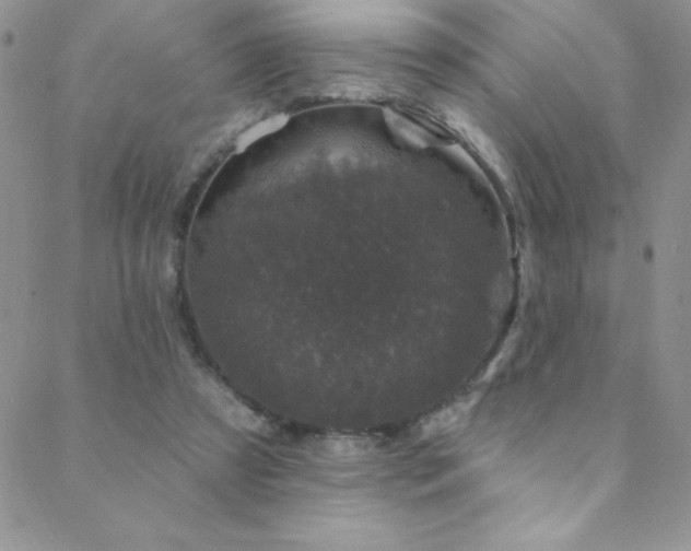 X0000088880305200706081248