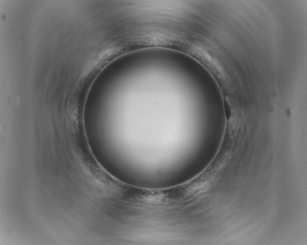 X0000088880306200706081248