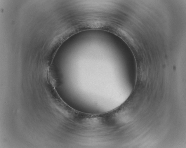 X0000088880307200706081248