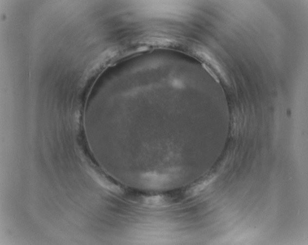 X0000088880309200706081247