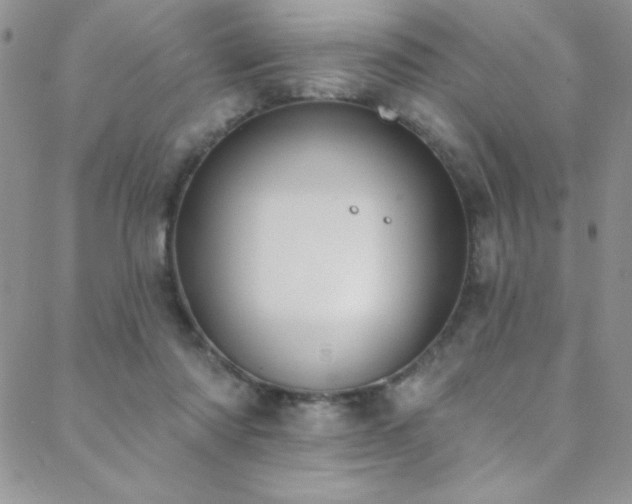 X0000088880310200706081247