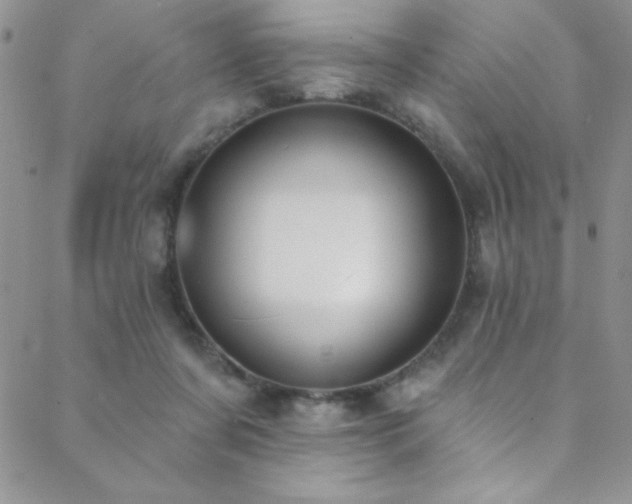 X0000088880311200706081247