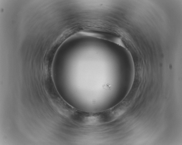 X0000088880312200706081247