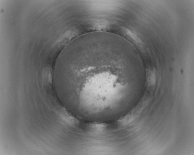 X0000088880313200706081247