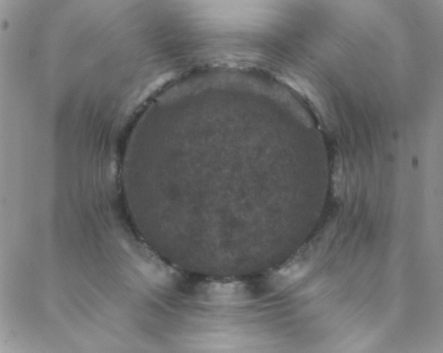 X0000088880314200706081247