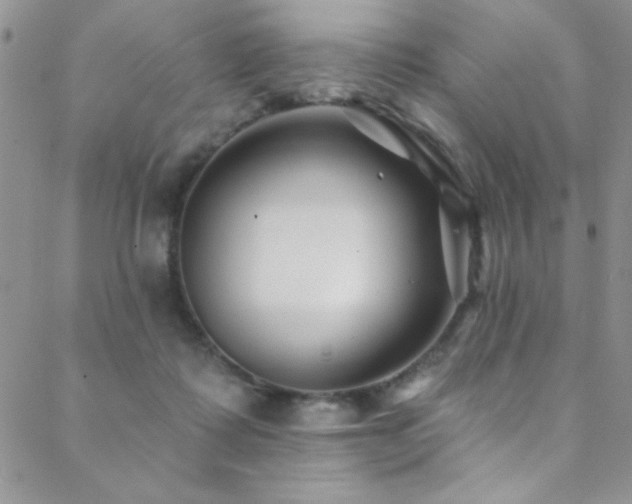 X0000088880315200706081247