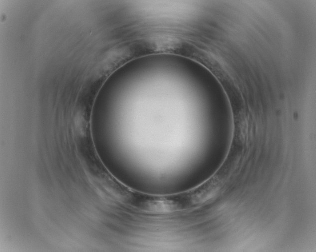 X0000088880316200706081247