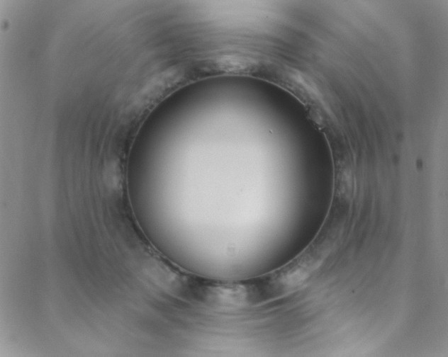 X0000088880317200706081247