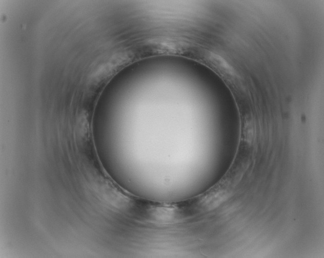 X0000088880318200706081247