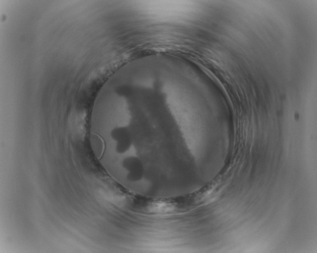 X0000088880319200706081247