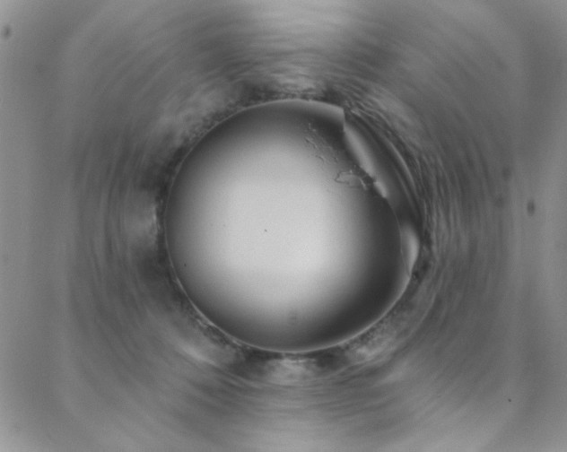 X0000088880320200706081247