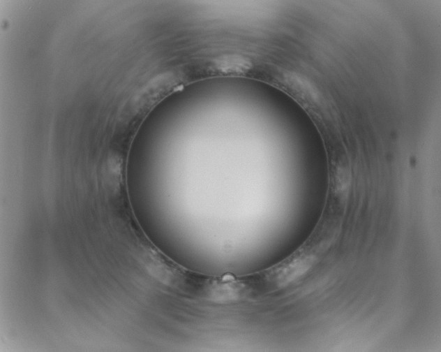 X0000088880321200706081247