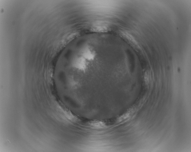 X0000088880322200706081247