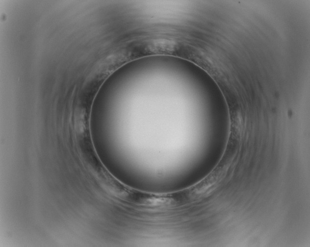 X0000088880323200706081247