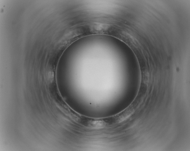 X0000088880324200706081247