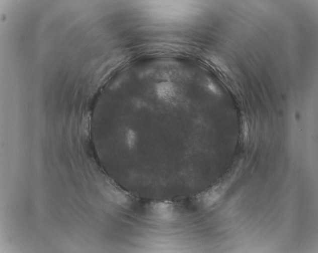 X0000088880325200706081247