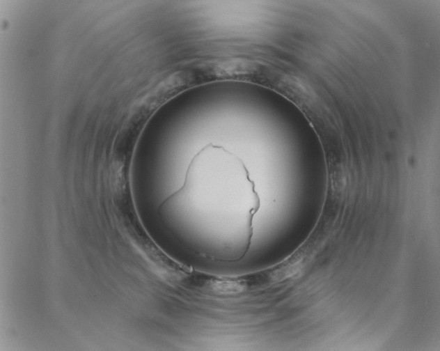 X0000088880327200706081247