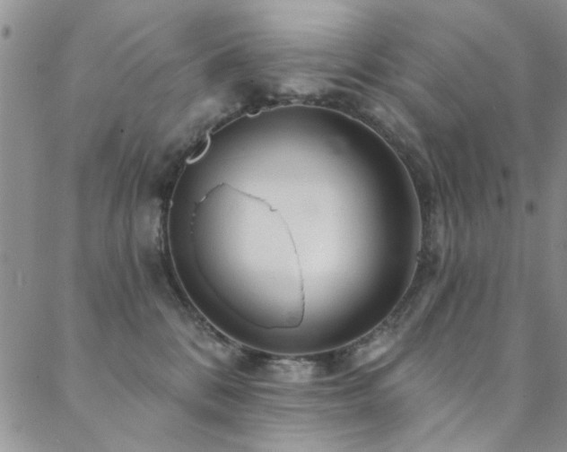 X0000088880328200706081247