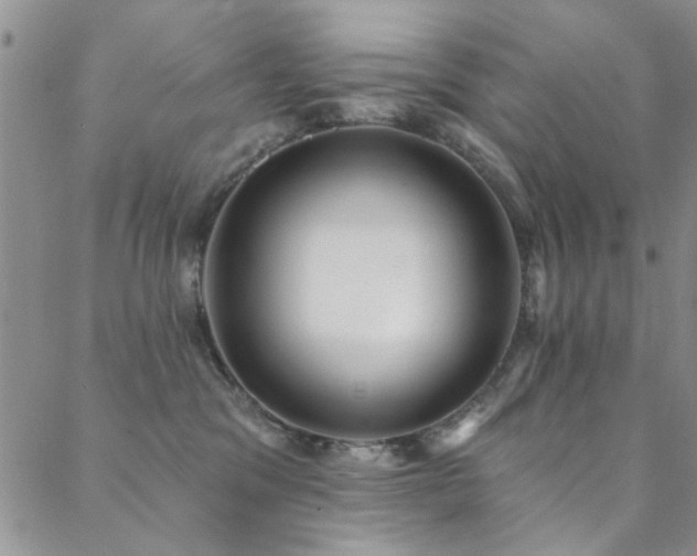 X0000088880329200706081247