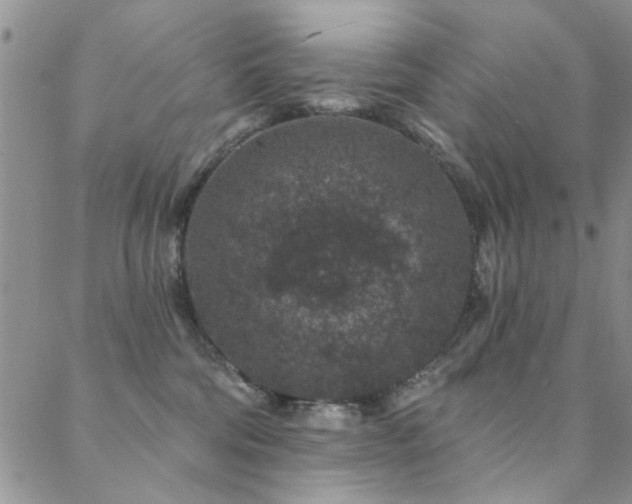 X0000088880330200706081247