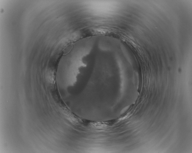 X0000088880331200706081247