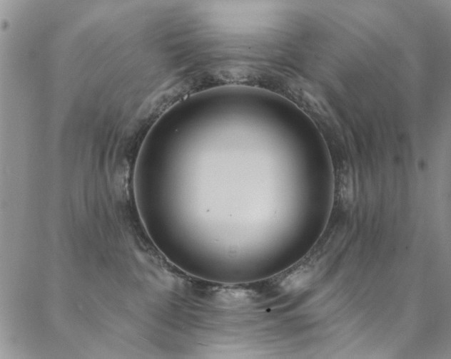 X0000088880332200706081247