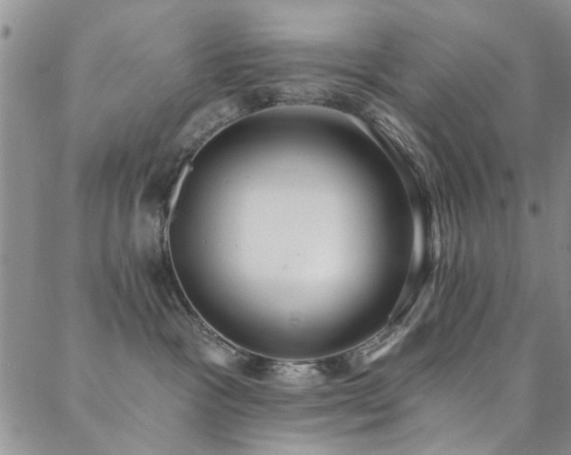 X0000088880333200706081247