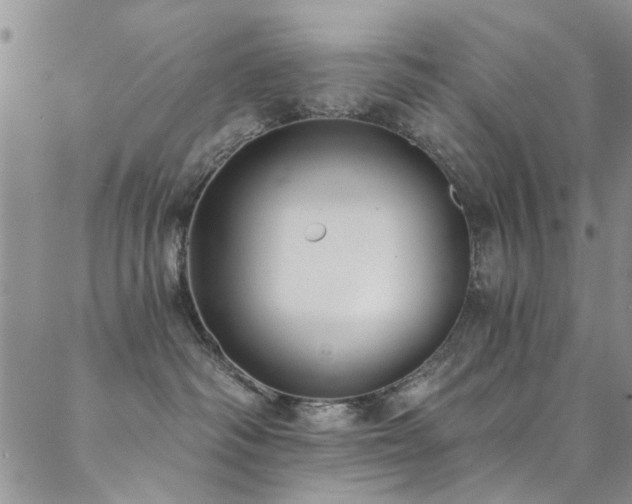 X0000088880334200706081247