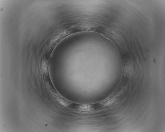 X0000088880335200706081247