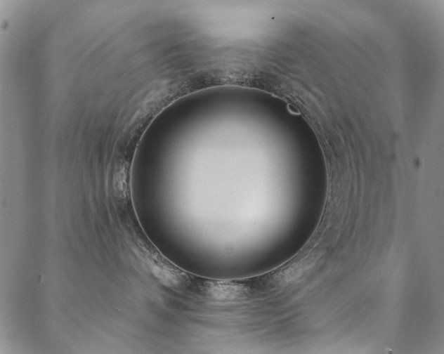 X0000088880336200706081247