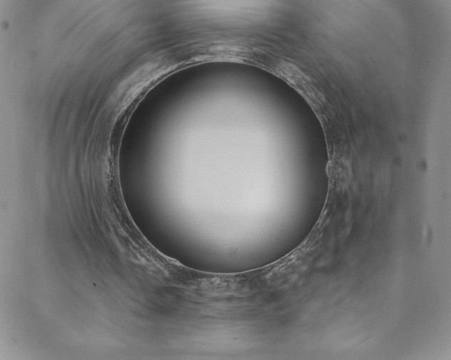 X0000088880338200706081246