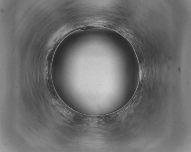 X0000088880339200706081246