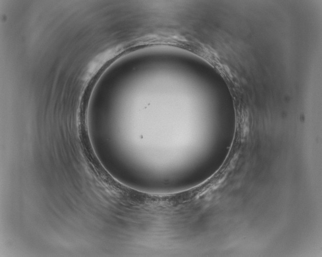 X0000088880340200706081246