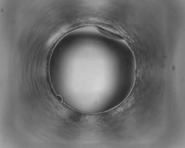 X0000088880341200706081246