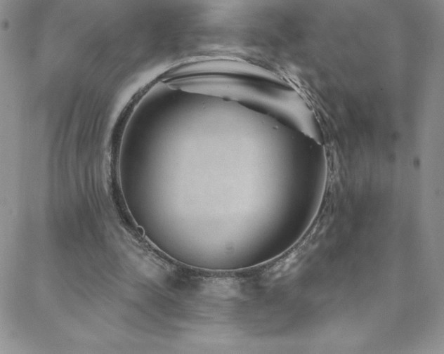 X0000088880342200706081246