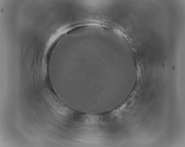 X0000088880343200706081246