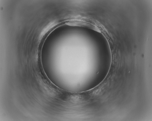 X0000088880344200706081246