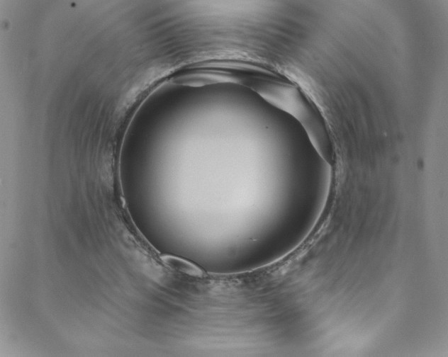 X0000088880345200706081246