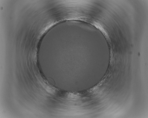 X0000088880346200706081246