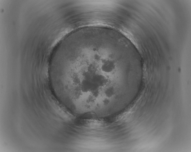 X0000088880347200706081246