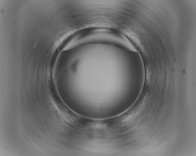 X0000088880348200706081246