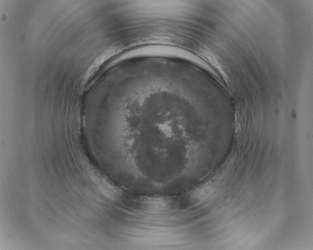 X0000088880349200706081246