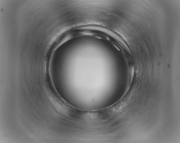 X0000088880350200706081246